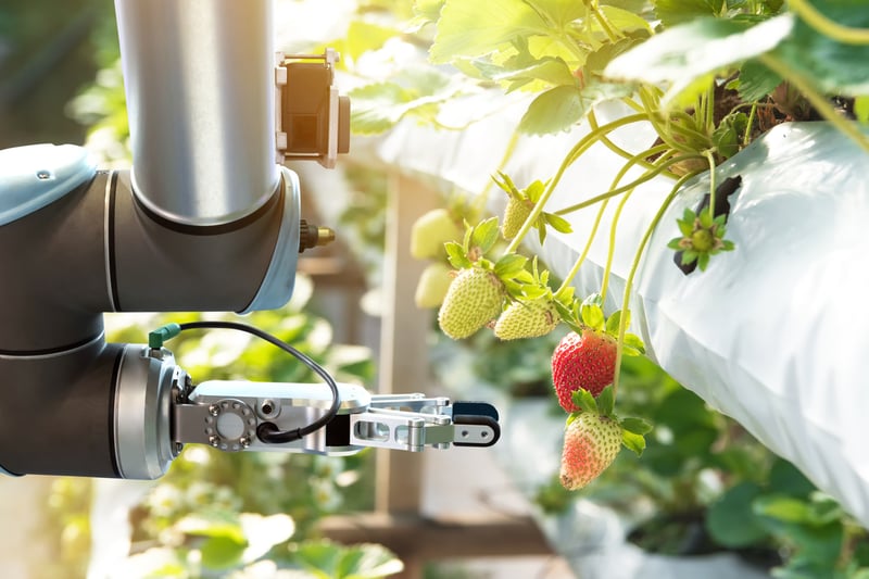 Agriculture technology - Farmer use smart farm automation robot assistant image processing for detection