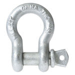 Anchor shackle