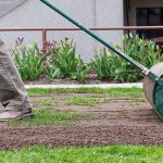 a gardener shows how to level out a bumpy lawn