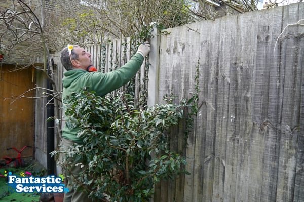 Fantastic Services Help Acol Nursery with a Gardening Service