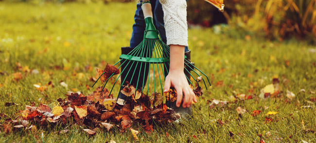 autumn gardening